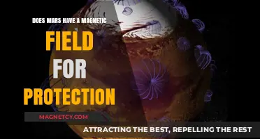 Shielded or Exposed: The Mystery of Mars' Magnetic Field
