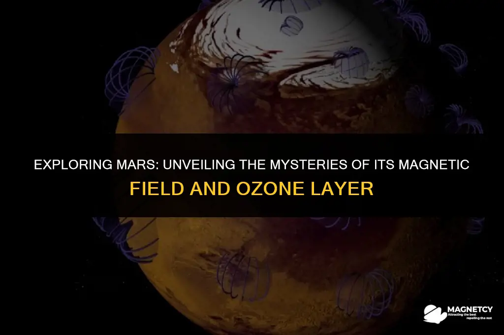 does mars have a magnetic field of an ozone layer