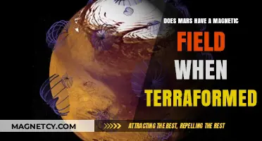Unlocking Mars' Potential: Terraforming and the Magnetic Field Enigma
