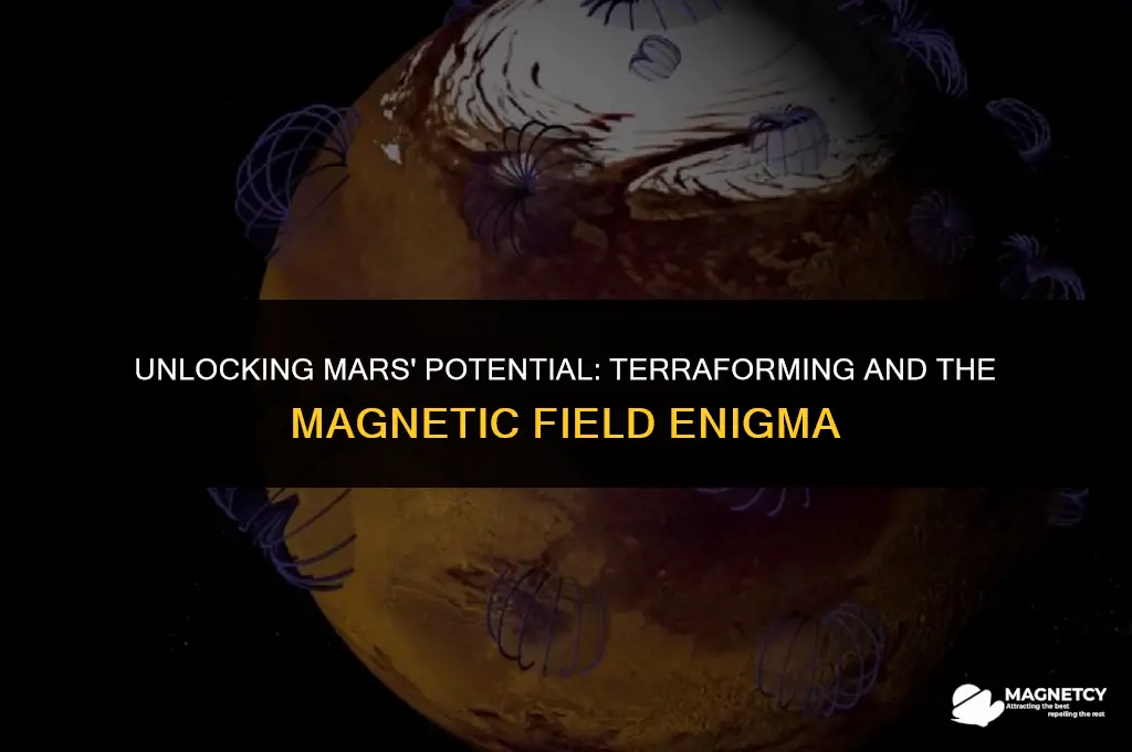 does mars have a magnetic field when terraformed
