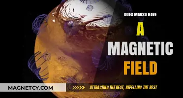 Exploring the Red Planet: Unveiling Mars' Magnetic Mysteries