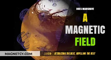 Exploring the Mysteries of Mars: Does the Red Planet Have a Magnetic Field?