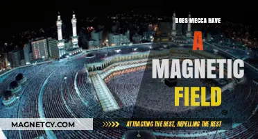 Exploring the Magnetic Mysteries of Mecca: A Scientific Journey