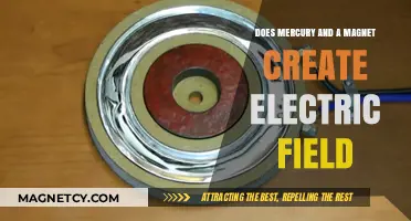 Exploring the Interaction: Mercury, Magnets, and Electric Fields