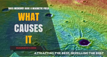 Unveiling Mercury's Magnetic Mysteries: What Powers Its Field?