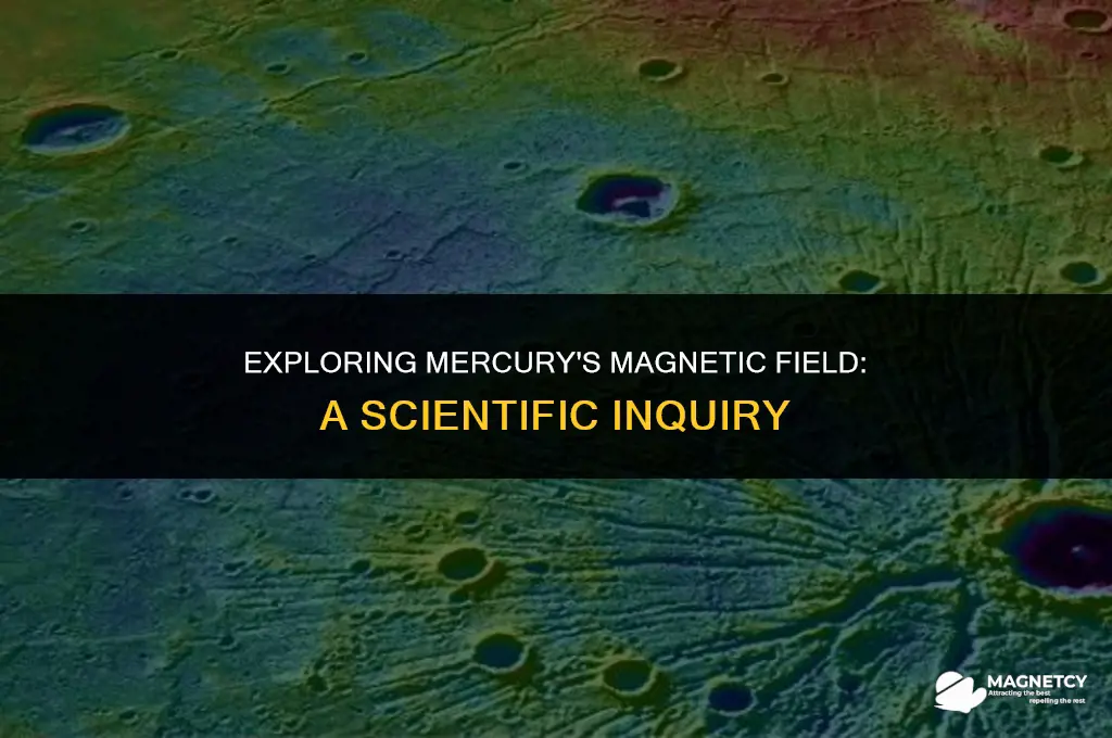 does mercury have a measurable magnetic field