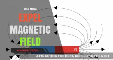 Exploring the Interaction Between Metal and Magnetic Fields