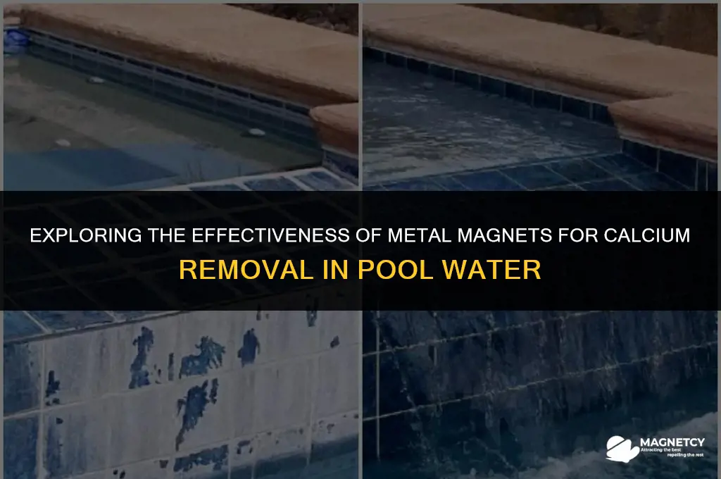 does metal magnet out work for calcium in pool water