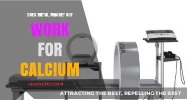 Exploring the Myths: Does Metal Magnet Therapy Boost Calcium Levels?
