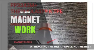 Unveiling the Truth: Do Mold Magnets Really Work?