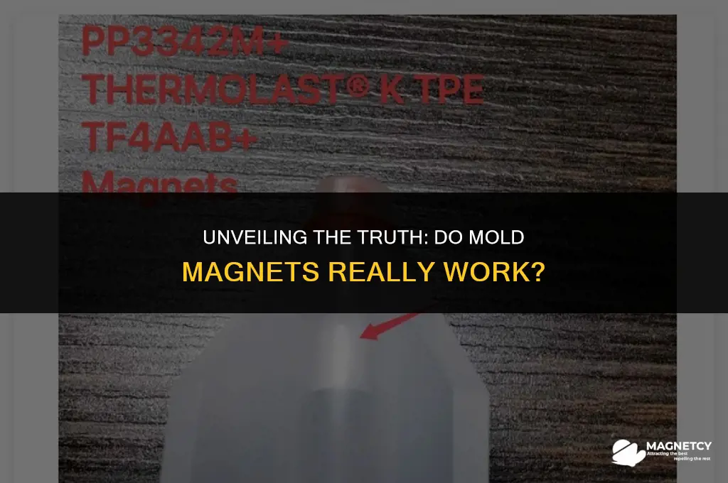 does mold magnet work