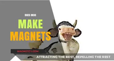 Exploring the Magnetic Moo: A Journey into Bovine Magnetism