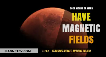 Exploring the Magnetic Mysteries of Mars' Moons
