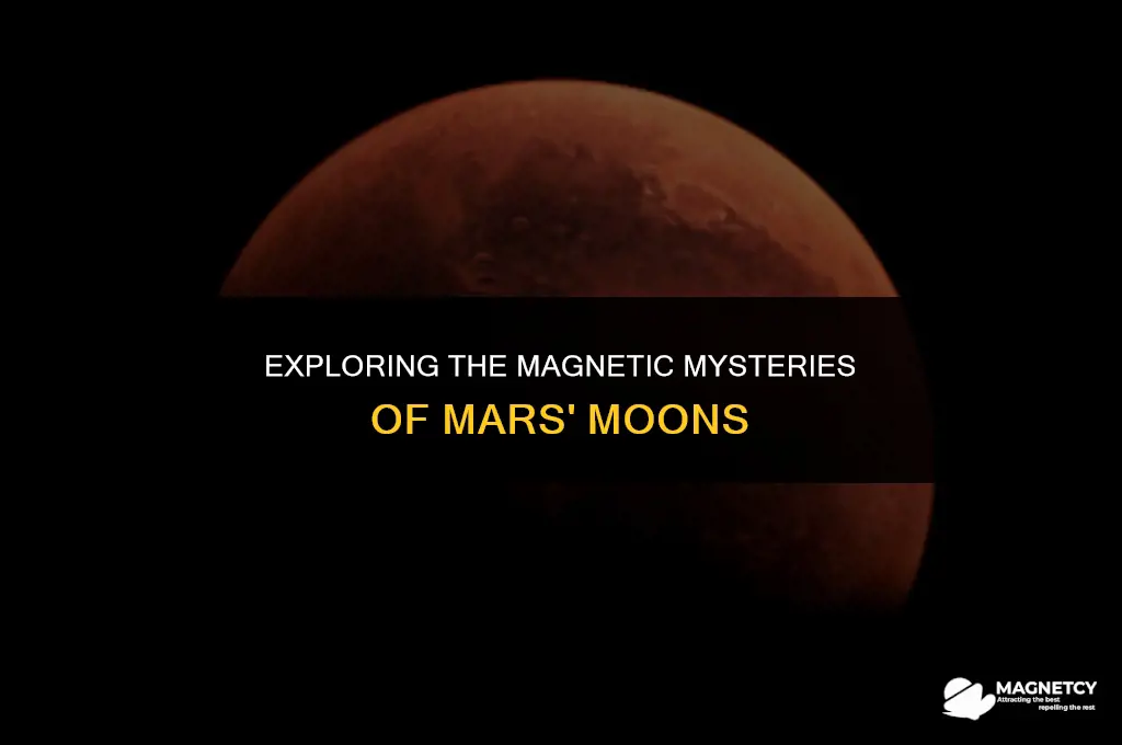 does moons of mars have magnetic fields
