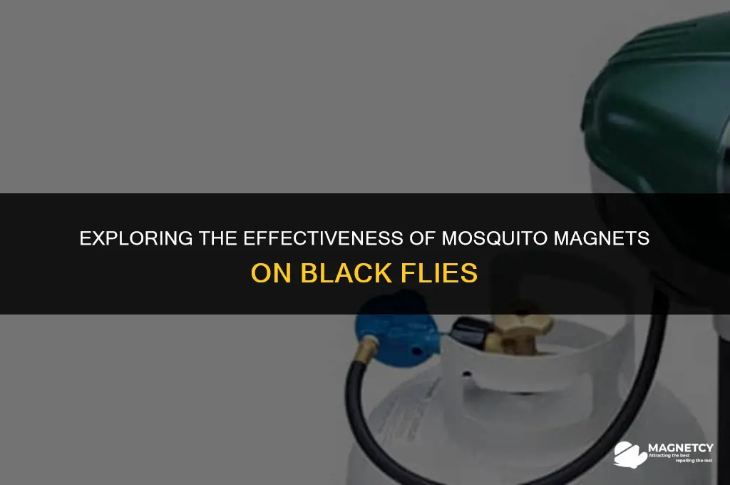 does mosquito magnet work on black flies