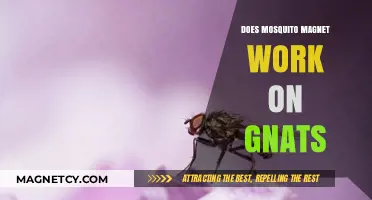 Exploring the Effectiveness of Mosquito Magnets on Pesky Gnats