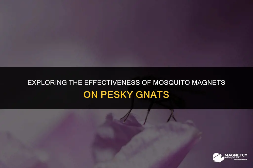 does mosquito magnet work on gnats