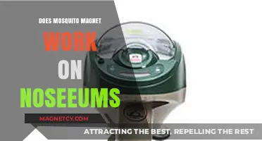 Exploring the Effectiveness of Mosquito Magnets Against Noseeums