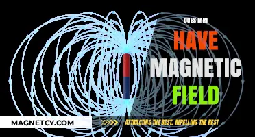 Exploring the Magnetic Field Mysteries of MRI Technology