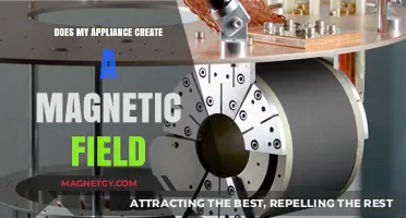 Exploring the Invisible: Do Your Appliances Create Magnetic Fields?