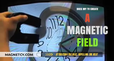 Exploring the Invisible: Does Your TV Emit a Magnetic Field?