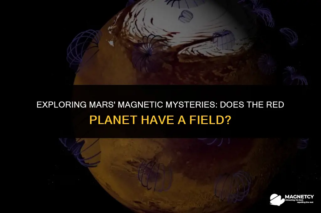 does nmars ha ve a magnetic field