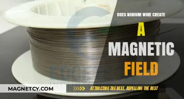 Exploring the Magnetic Properties of Niobium Wire: A Comprehensive Guide