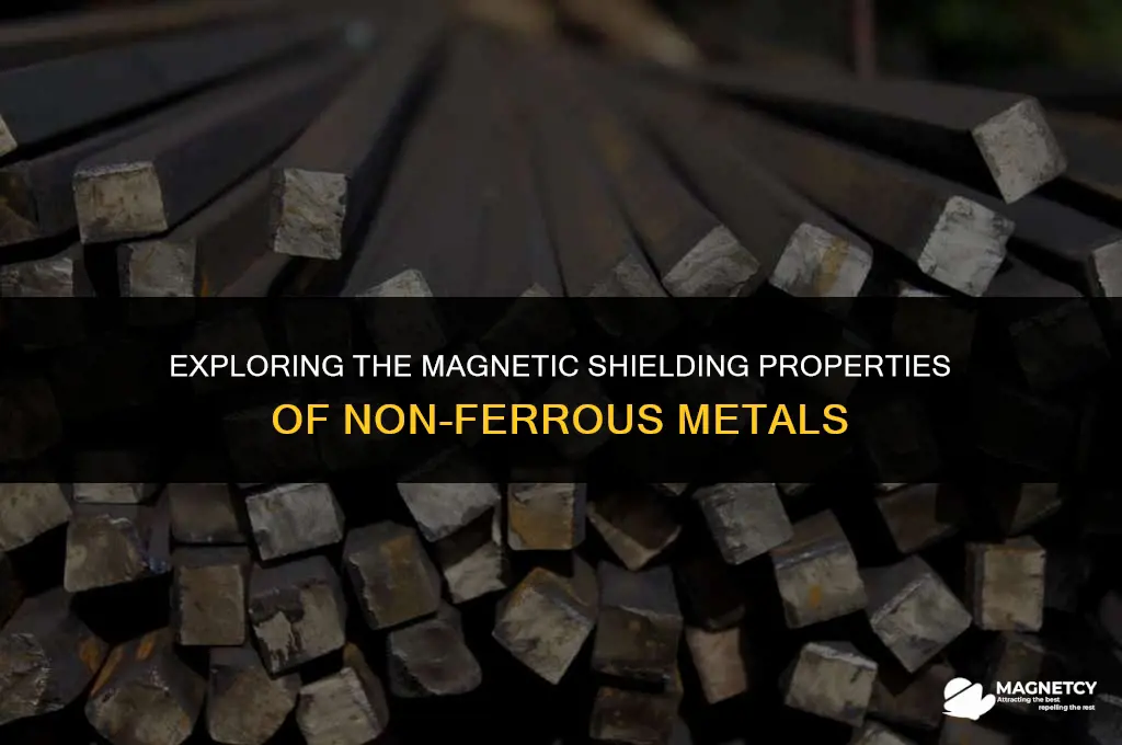 does non ferrous block magnetic fields