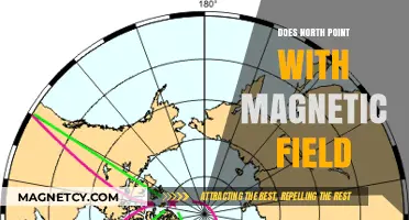 Exploring the Alignment: Does North Point with Earth's Magnetic Field?