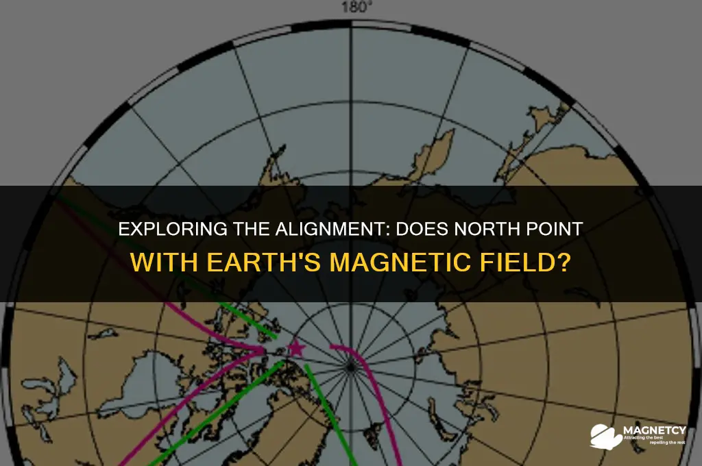 does north point with magnetic field