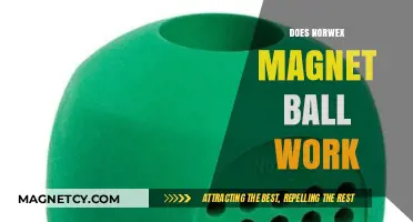 Unveiling the Truth: Do Norwex Magnet Balls Really Work?