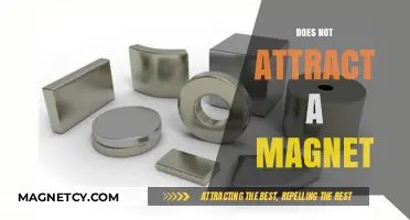 Unmagnetic Materials: Exploring Substances That Resist Magnetic Attraction