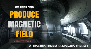 Unlocking the Secrets: Nuclear Fusion's Magnetic Field Enigma