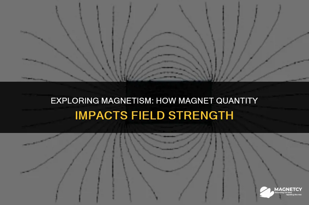 does number of magnets affect field strength