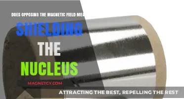 Understanding Magnetic Fields: Does Opposition Mean Nuclear Shielding?