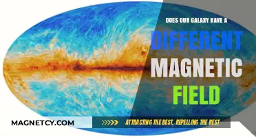 Exploring the Unique Magnetic Landscape of Our Galaxy