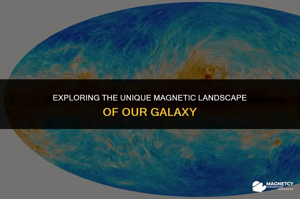 does our galaxy have a different magnetic field