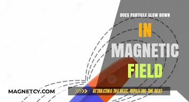 Exploring the Dynamics: Particle Motion in Magnetic Fields