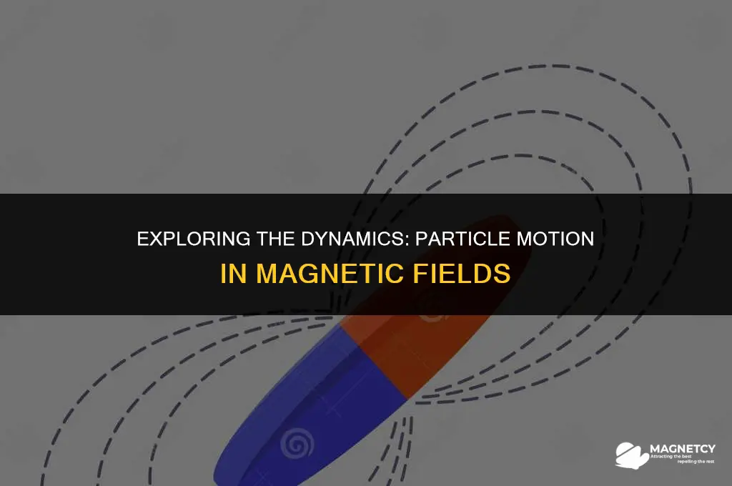 does particle slow down in magnetic field