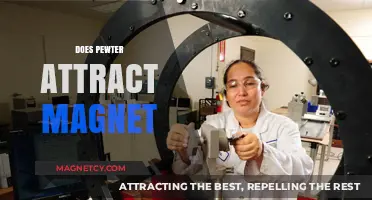 Does Pewter Attract Magnets? Unveiling the Truth Behind the Metal's Magnetism