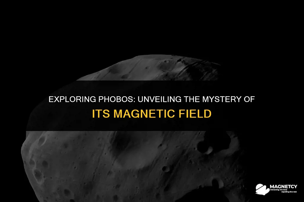 does phobos have a magnetic field