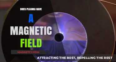 Exploring the Magnetic Mysteries of Plasma: A Deep Dive