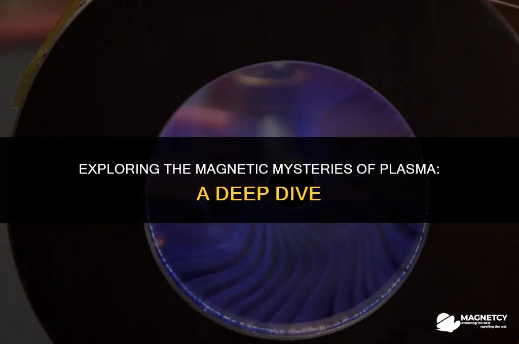does plasma have a magnetic field