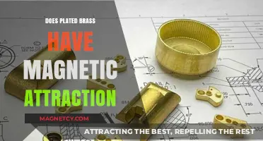 Is Plated Brass Magnetic? Exploring Its Attraction Properties