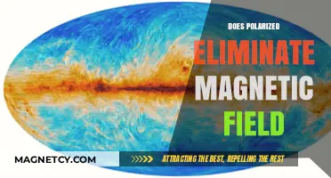Unraveling the Myth: Polarization's Impact on Magnetic Fields Explained