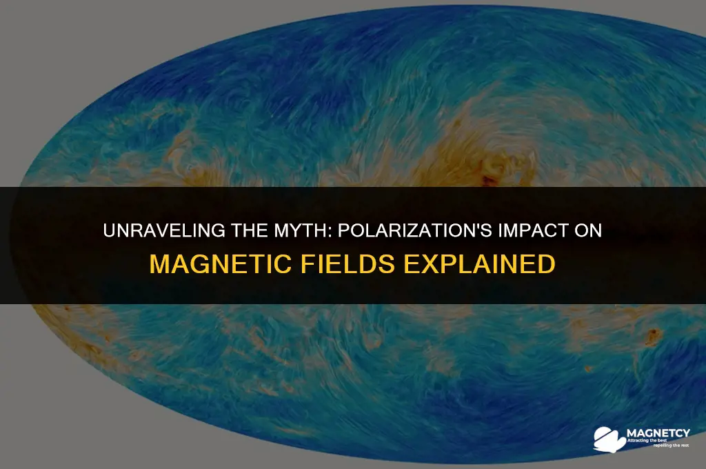 does polarized eliminate magnetic field