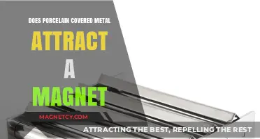 Does Porcelain-Covered Metal Attract Magnets? Unveiling the Truth