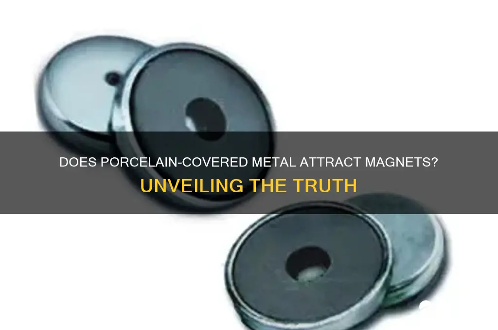 does porcelain covered metal attract a magnet