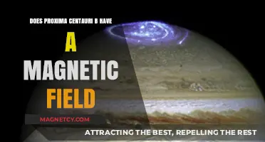 Exploring the Magnetic Mysteries of Proxima Centauri b