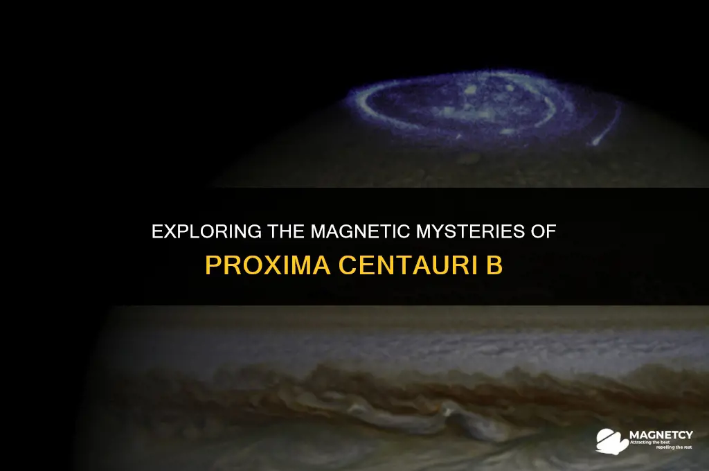 does proxima centauri b have a magnetic field